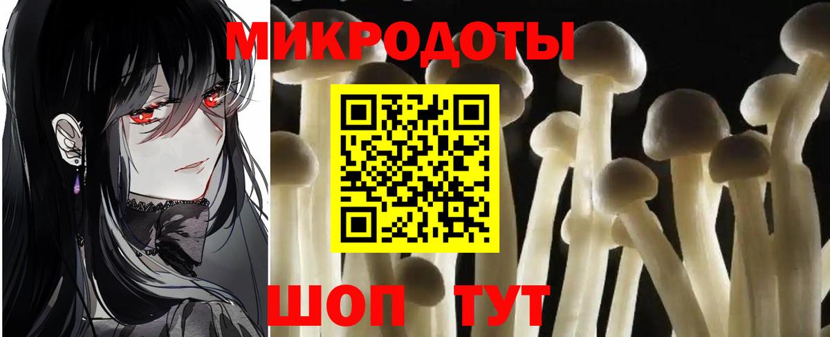 Миллерово  Псилоцибиновые грибы Psilocybe  Вход с VPN 