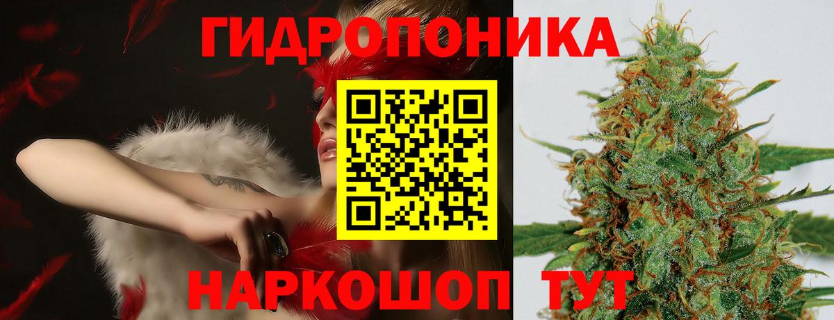 Бошки Шишки гибрид Миллерово
